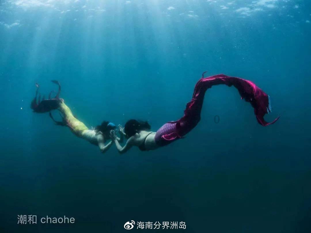 尽享知识交流 58问答平台撰写是什么意思